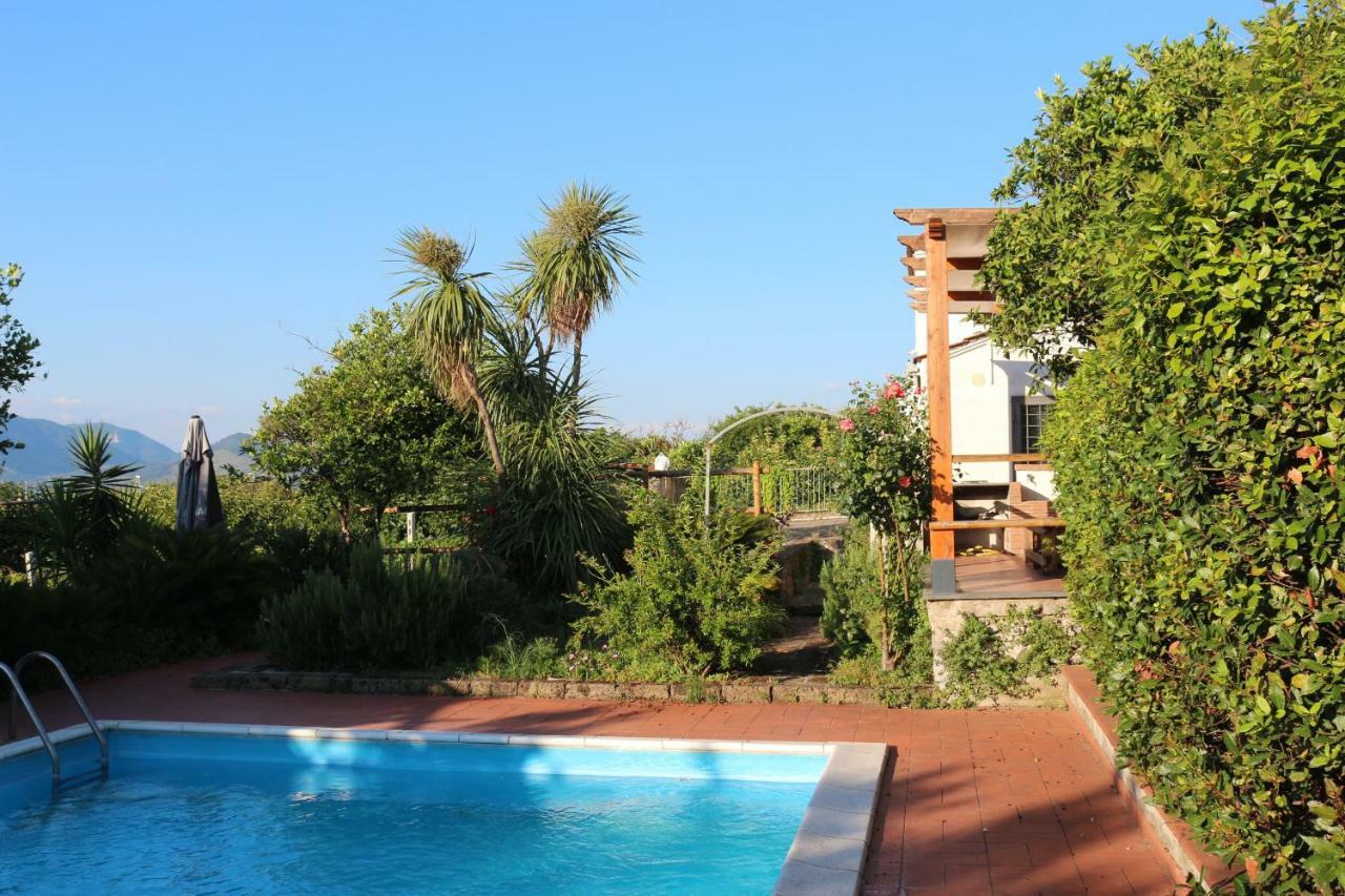 Desiderio D'Ammore Villa Corbara  Exterior photo