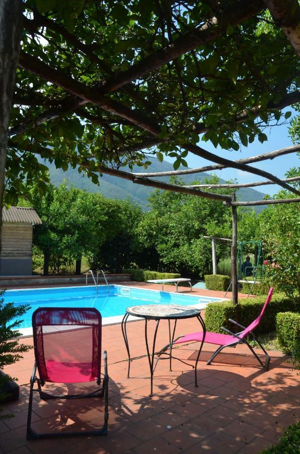 Desiderio D'Ammore Villa Corbara  Exterior photo
