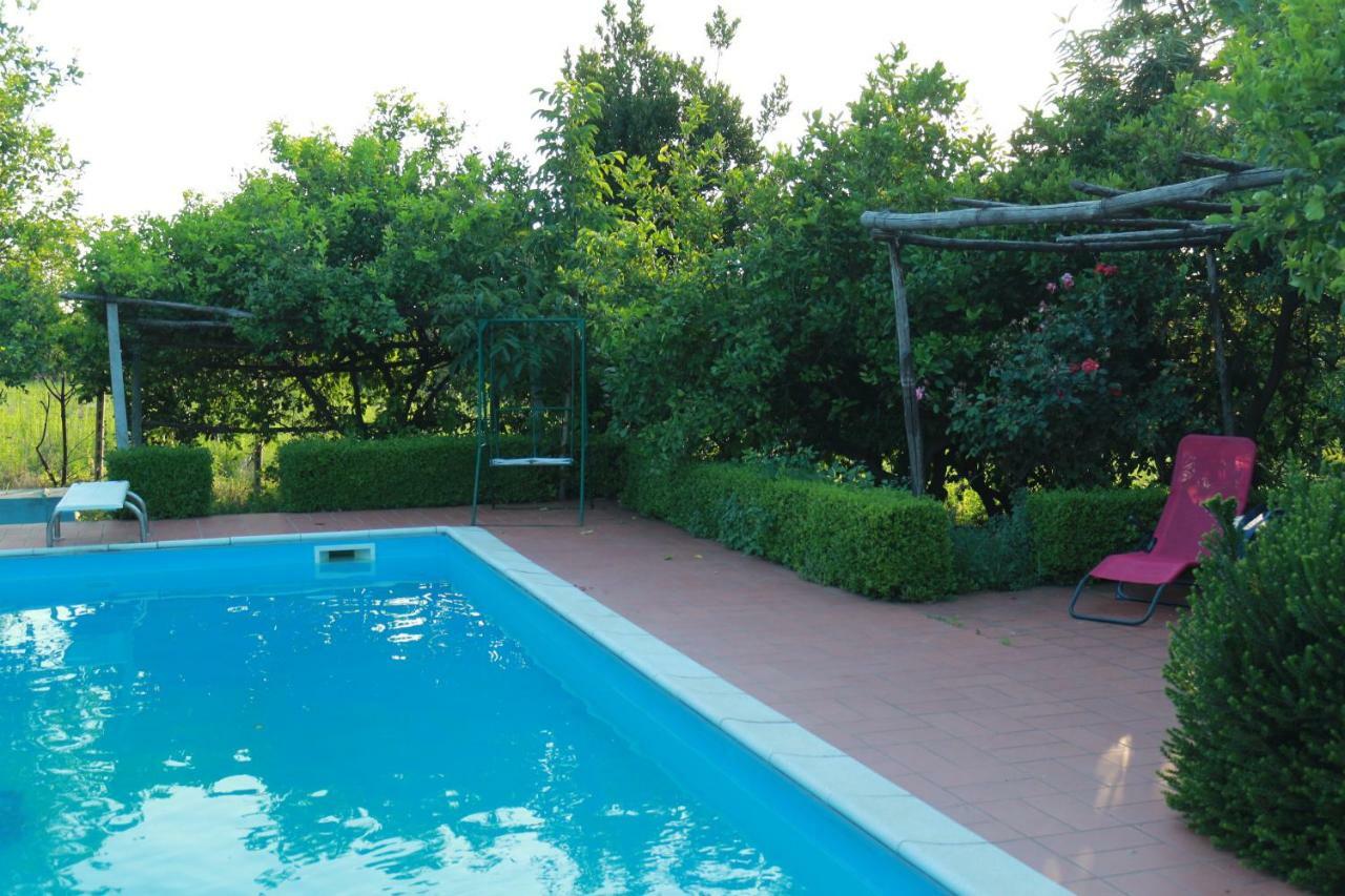 Desiderio D'Ammore Villa Corbara  Exterior photo