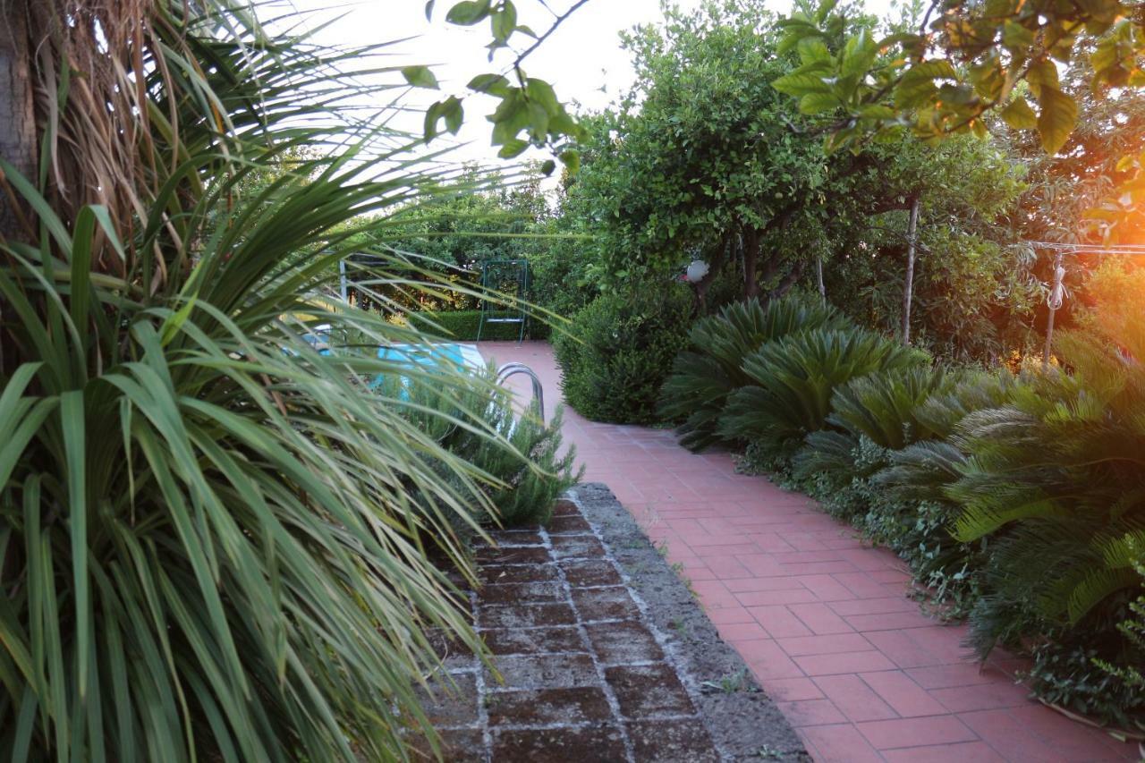 Desiderio D'Ammore Villa Corbara  Exterior photo